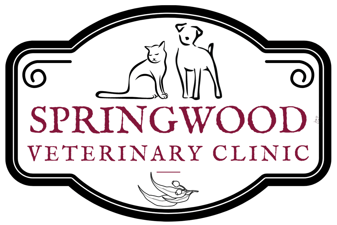 Springwood veterinary clinic logo